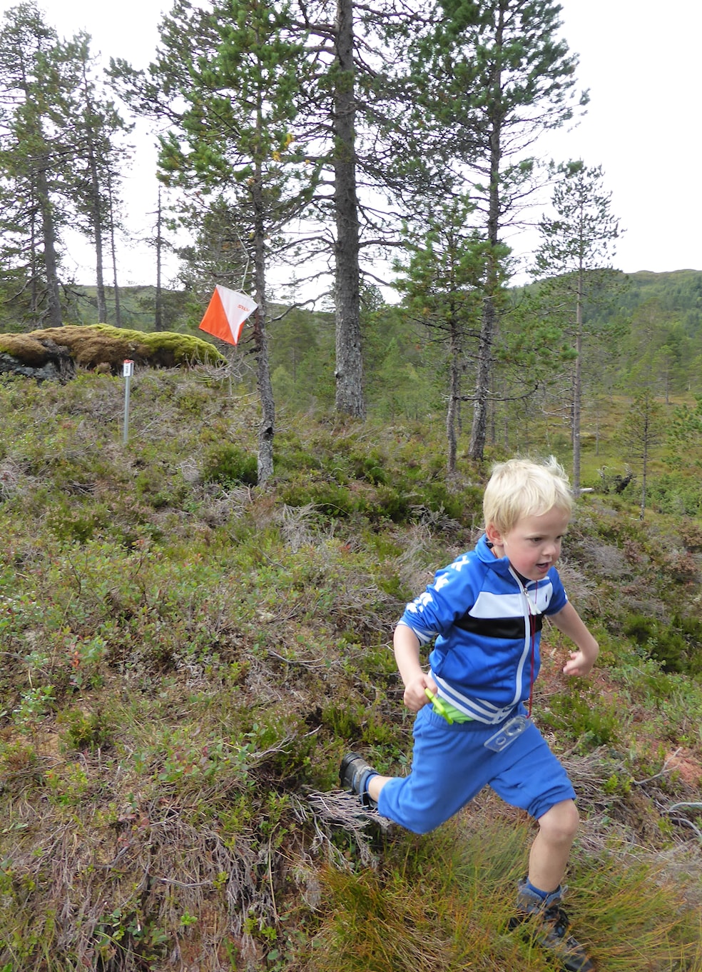 Nærløp Reset/Halbrendslia - Med resultat